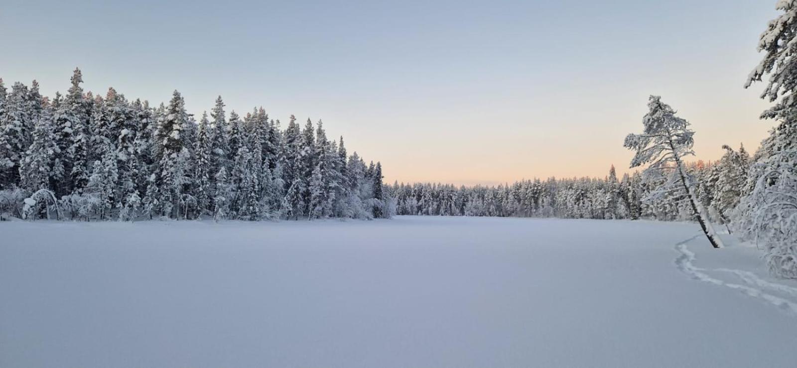 فندق Lapland Old School مونيو المظهر الخارجي الصورة