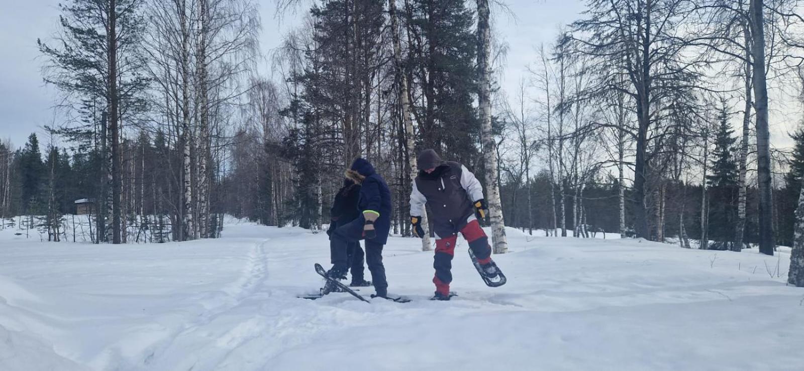 فندق Lapland Old School مونيو المظهر الخارجي الصورة